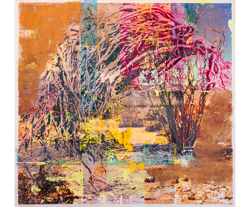 artwork mixed media collage joshua tree national park desert plants cactus ocotillo california image